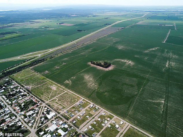 Maximiliano Spinazze used an algorithm that calculated where seeds would need to be planted in his field in Los Cóndores, in the central province of Córdoba, Argentina.