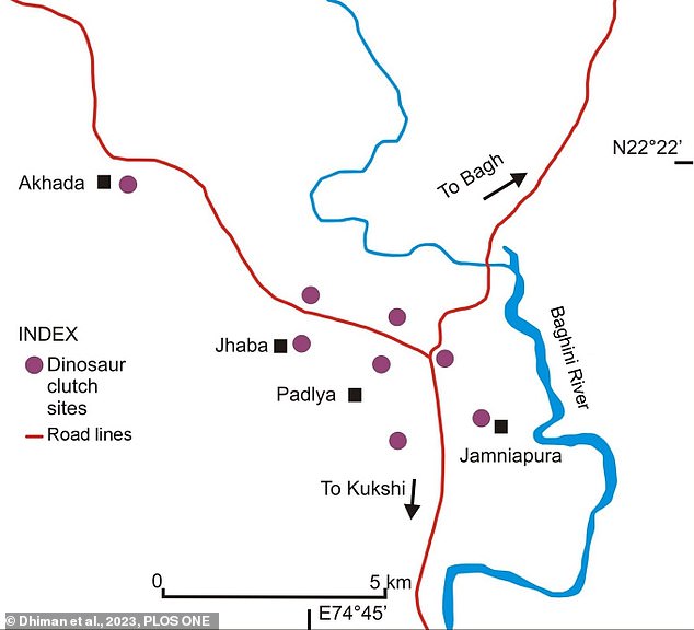 The hatchery is part of the Lameta Formation - a geological formation in the Narmada Valley that hosts many fossilised dinosaur eggs and skeletons from the Late Cretaceous Period. Pictured: Map of the study area displaying the location of investigated dinosaur clutches