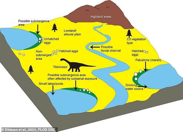 Diagram showing what researchers believe was the hatchery environment. It is thought that some of the egg clutches were laid close to the banks of the lakes and ponds, and these were frequently submerged underwater. This led to them being buried in sediment and prevented them from hatching. Clutches further from the bodies of water could hatch and hence showed more broken eggshells