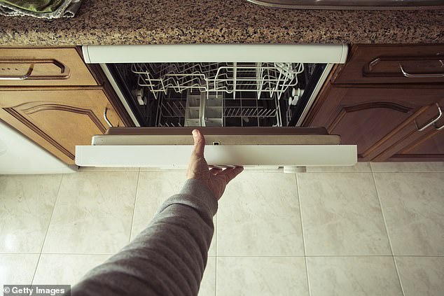 Closing the dishwasher between washes is actually very dangerous as it doesn't give the seals a chance to dry out, giving mold and odors a chance to take hold.  The door should be slightly ajar (pictured)