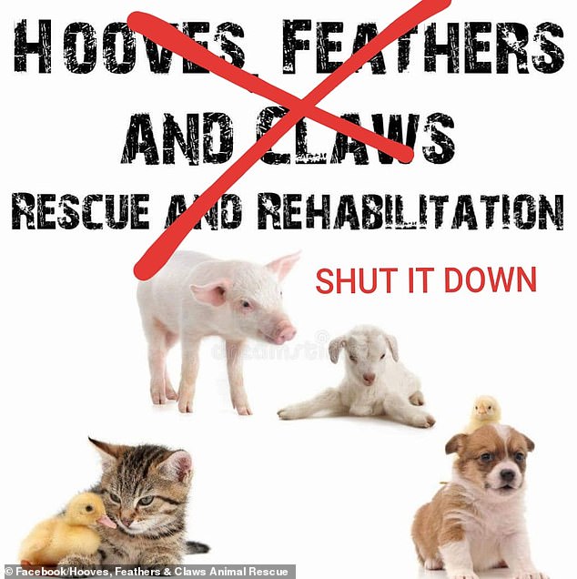 Angry neighborhood group wants Hooves, Feathers and Claws animal shelter closed