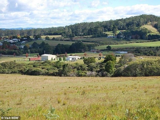 Lowanna is a small town inland in Coffs Harbor in northern New South Wales (file image pictured)