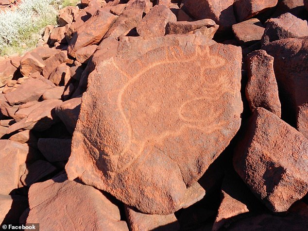The couple were protesting against the Woodside liquefied natural gas plant on the Burrup Peninsula, home to a large collection of ancient indigenous rock art (above)