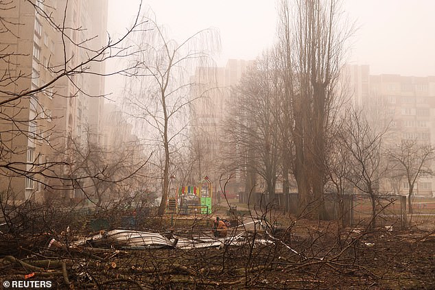 Pictured: A relative looks at the crash site of a helicopter, amid Russia's attack on Ukraine, in the city of Brovary, outside Kyiv, Ukraine, on January 19, 2023.