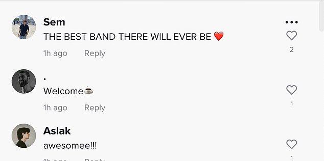 Positive reaction: Fans were certainly excited to see the band hit TikTok, taking to the comments section of their first video as one wrote: 'THE ROLLING STONES!  WELCOME TO STONESTOK'