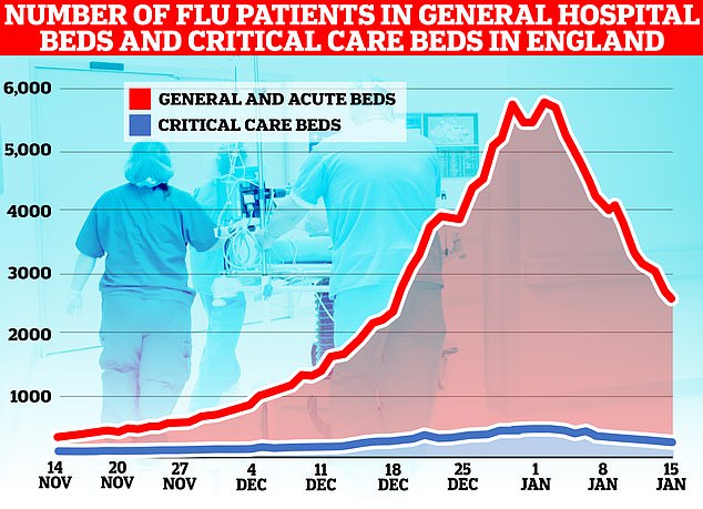 The number of flu patients taking up hospital beds has been trending downwards for a fortnight after peaking at 5,779 on January 2. Latest data, for the week to January 15, shows 3,447 people infected with influenza were in hospital per day, on average, last week. The figure is 35 per cent lower than the 5,262 figure one week earlier