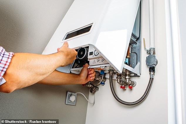 Replacement: Eventually you will have to have a new boiler installed, but the high initial costs can quickly be recouped in lower energy bills in the future