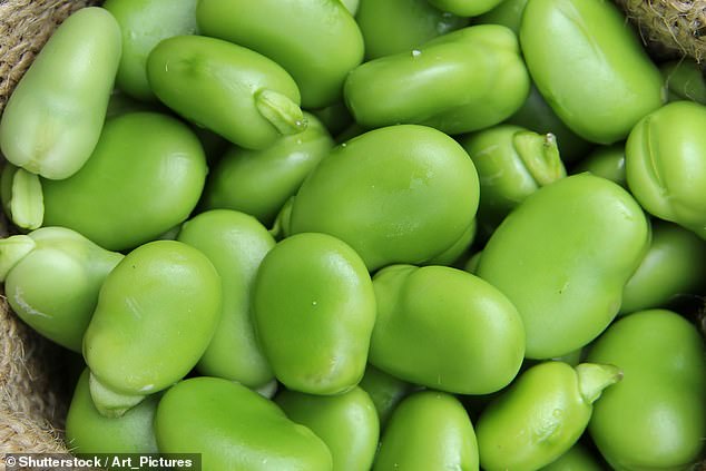 Flour made from broad beans has 2.5 times the amount of protein, four times the amount of fibre, and almost three times the amount of iron than wheat flour