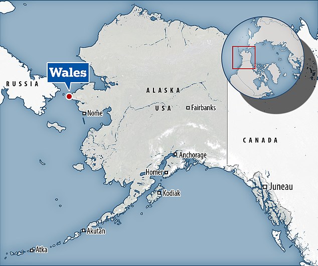 Wales is a remote whaling community at the western tip of North America and about 50 miles from Russia.