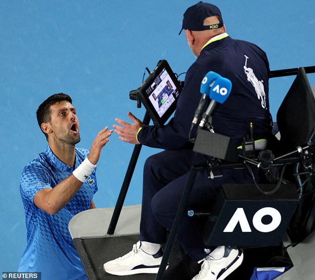 A furious Djokovic told the official that one particular fan was 