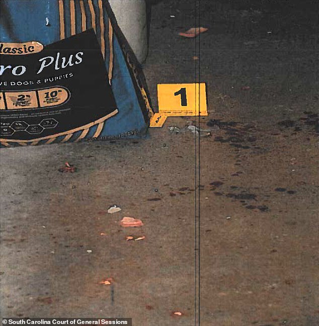 The court filing also had a close-up of the blood spatter where Paul was shot twice, once in the chest and a second time entering his left shoulder into the neck and brain.