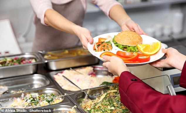 The report suggests bringing plant-based 'meat' to public institutions such as schools, although there's been fears it's not as nutritious as real meat (file photo)