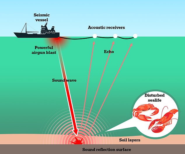 Campaigners have previously blamed seismic surveys of the sea floor for the deaths of whales and other marine life as these noises can the animals either by causing temporary and permanent hearing loss, abandonment of habitat or disruption of mating. However experts think this is unlikely to be to blame for the deaths of thousands of crabs and lobsters in the North East