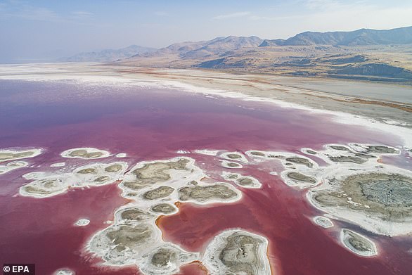 Algal blooms can cause water discoloration, turning lakes and other bodies of water red, yellow or green