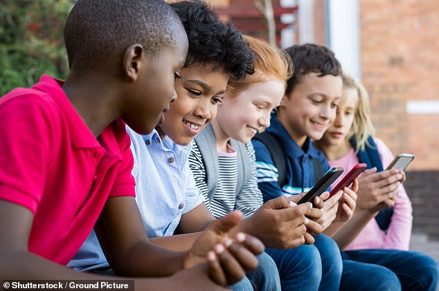 Researchers from Duke University in North Carolina, USA said that teens who are sociable in the 'real world' tend to reinforce and improve those relationships online (stock image)