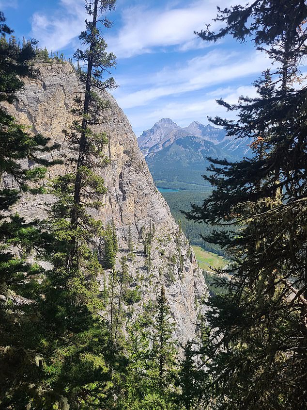 Mr Heritage told her before beginning the climb on the tragic day that he was hopeful the couple would enjoy more memories of conquering rock faces together (pictured, a cliff in the Mother's Day Buttress area of ​​the Rocky Mountains canadians)