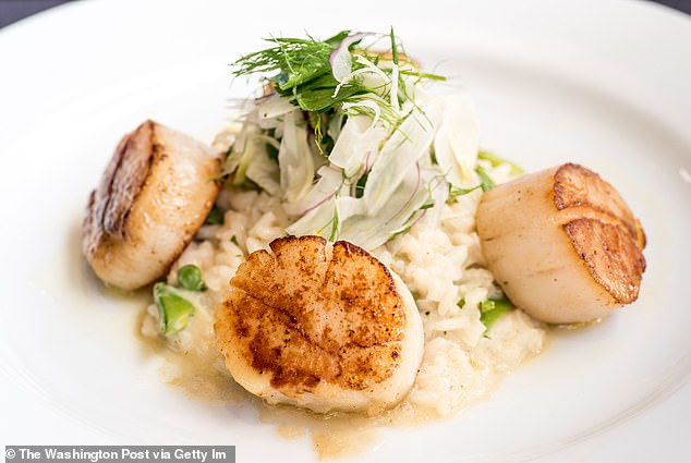 Scallops: Parmesan Risotto, English Peas, and Citrus Vinaigrette from Ocean Prime, located just steps from the White House