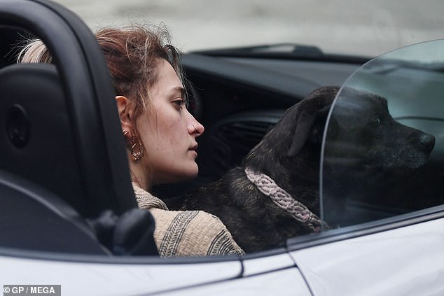 Hit: The late icon Michael Jackson's daughter retrieved the animal a short time later and was seen driving away in a Porsche with it on her lap.