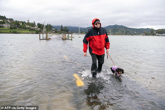 The phenomenon is predicted to increase water levels by more than seven feet in low-lying areas of California, which experienced a high tide earlier this month. But this weekend will have a new moon that will boost tides even more