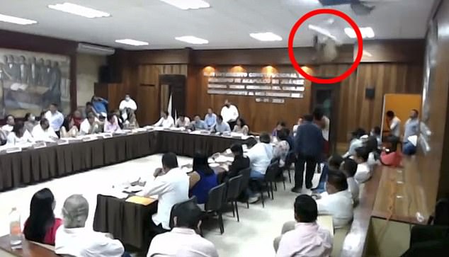 Members of the Acapulco city council were in session when their meeting was interrupted by a raccoon that crashed into a ceiling panel