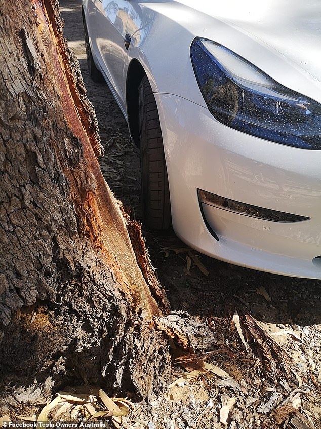 One man said new technology kept trying to turn his car into a tree and recounted numerous terrifying encounters.