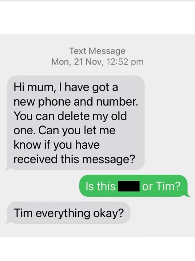 Little did Lisa know it was a 'hi mom' scam, in which cybercriminals pose as family members before exploiting the victim's sympathies and asking for money (one of the texts is pictured)