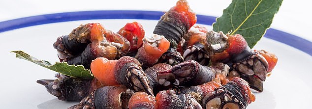 The tiny shellfish are served as a delicacy in Spain and Portugal.  They are prepared by cooking them in seawater and adding a bay leaf to give them a special aroma.