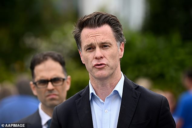 Labor leader Chris Minns (pictured front) is well positioned to win the upcoming state election, according to a new poll.