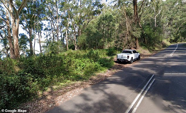 A bushwalker had heard the dog yelping on the morning of January 23 last year at the bottom of a cliff face near Clive Bisell Drive on Mount Ousley, near Wollongong, south of Sydney.