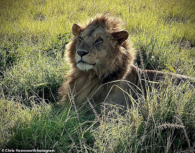 The famous family encountered wild animals on their adventure.