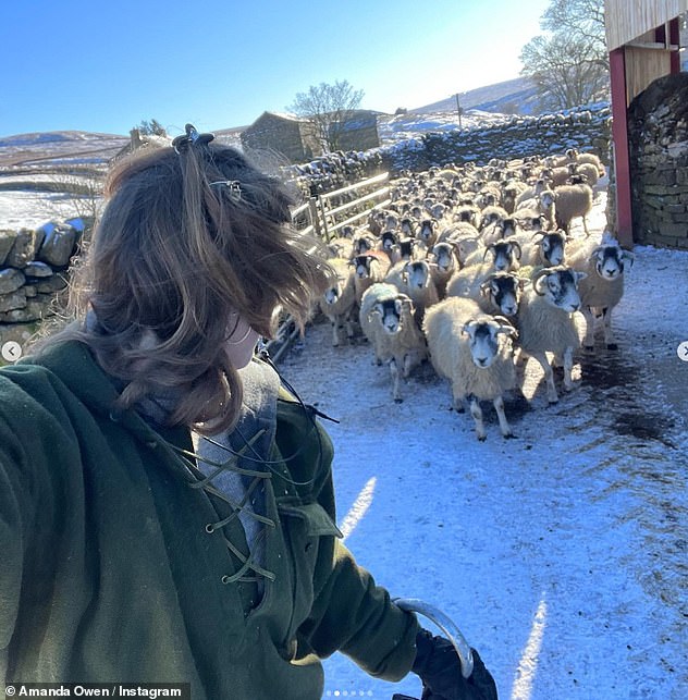 Tough: Amanda and Clive run Ravenseat in the Yorkshire Dales, a remote working farm where they have been tenants for over 20 years.