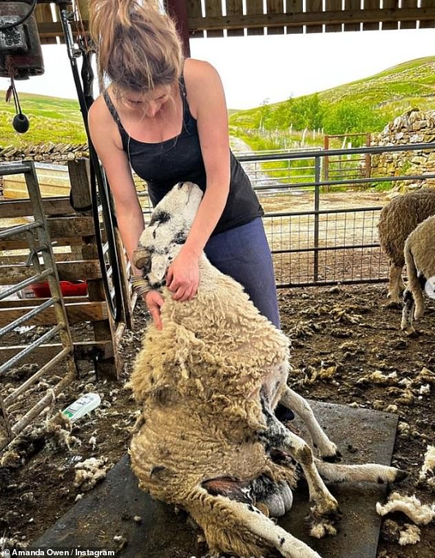 Daily Life: Amanda keeps busy with the thousand sheep, forty cows, six dogs, and four horses that reside with her at Ravenseat.