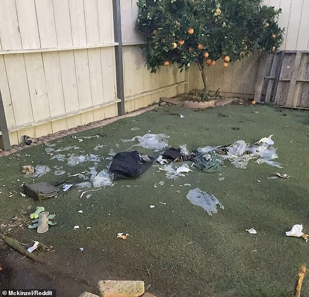 Bad Dog!  This unfortunate woman tried an expensive clothing rental site, but when her packages were delivered and left in her backyard, her two puppies tore the items to shreds.