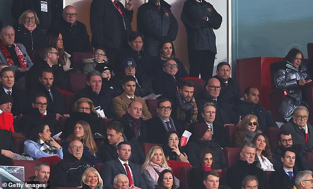 Spectators: The father and son were sitting in the stands alongside Gareth Southgate and Tomas Rosicky at the Emirates Stadium