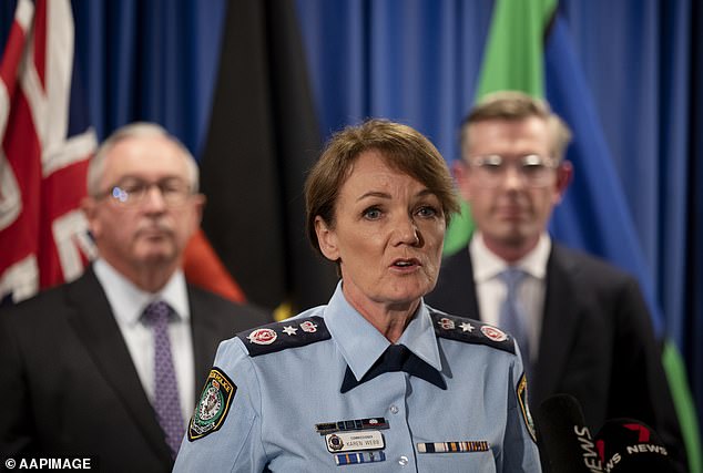 NSW Police Commissioner Karen Webb hopes the new scheme will give people the power to make informed decisions when entering a new relationship.