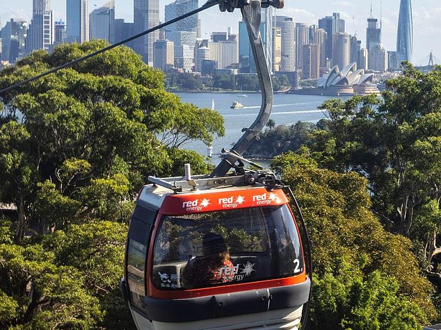 First installed in its iconic position in 1987 and then updated in 2000, the Sky Safari is one of the zoo's most beloved experiences.  Image: Taronga Zoo