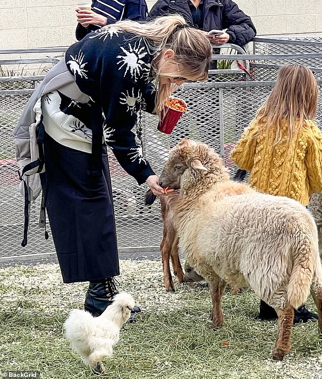 Animal lover: With what appeared to be a backpack system strapped to her torso and dangling from her back, Hudson took her daughter to the market petting zoo where they greeted all the animals.  She was holding a red cup full of treats and paying special attention to a sheep while a fluffy white chicken came over for a snack.