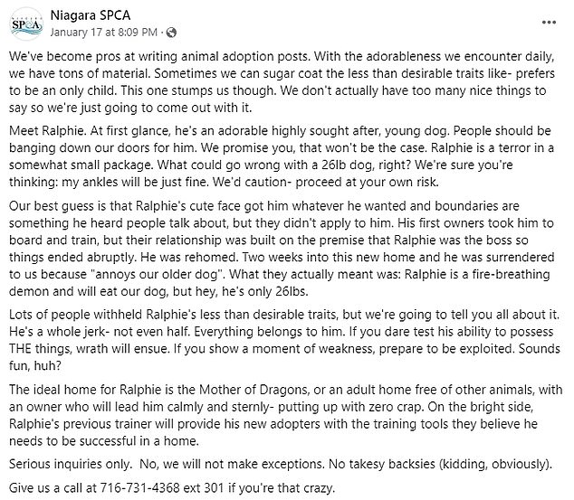 This is the description of Ralphie published by the Niagara SPCA