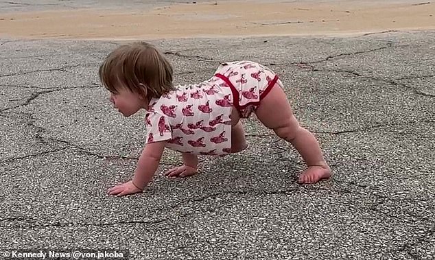 The little girl has learned to walk on all fours like her furry friends.  River (pictured) loves to play with her mother's six German Shepherd dogs.