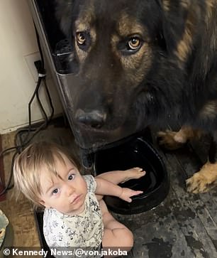 River playing in the dogs water bowl.