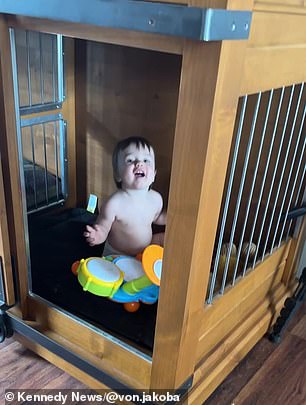 River loves to bring her toys to the dog crate.