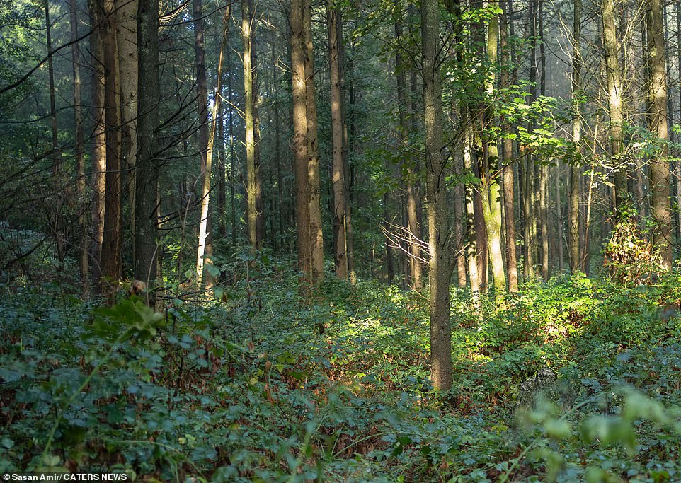 The photographer with a worldwide following says planning is key and it sometimes takes half a year to prepare for a shoot.