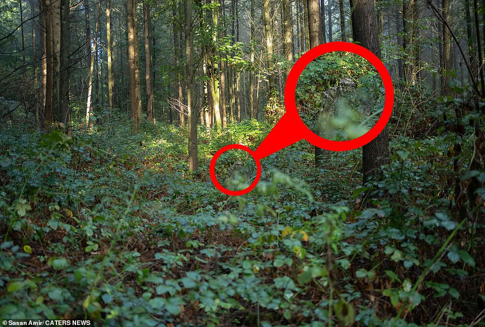 1674478446 502 Discover the photographer Can you spot the camouflaged wildlife fanatic