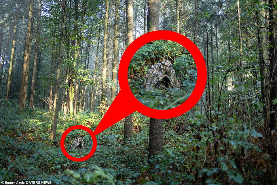 1674478448 679 Discover the photographer Can you spot the camouflaged wildlife fanatic