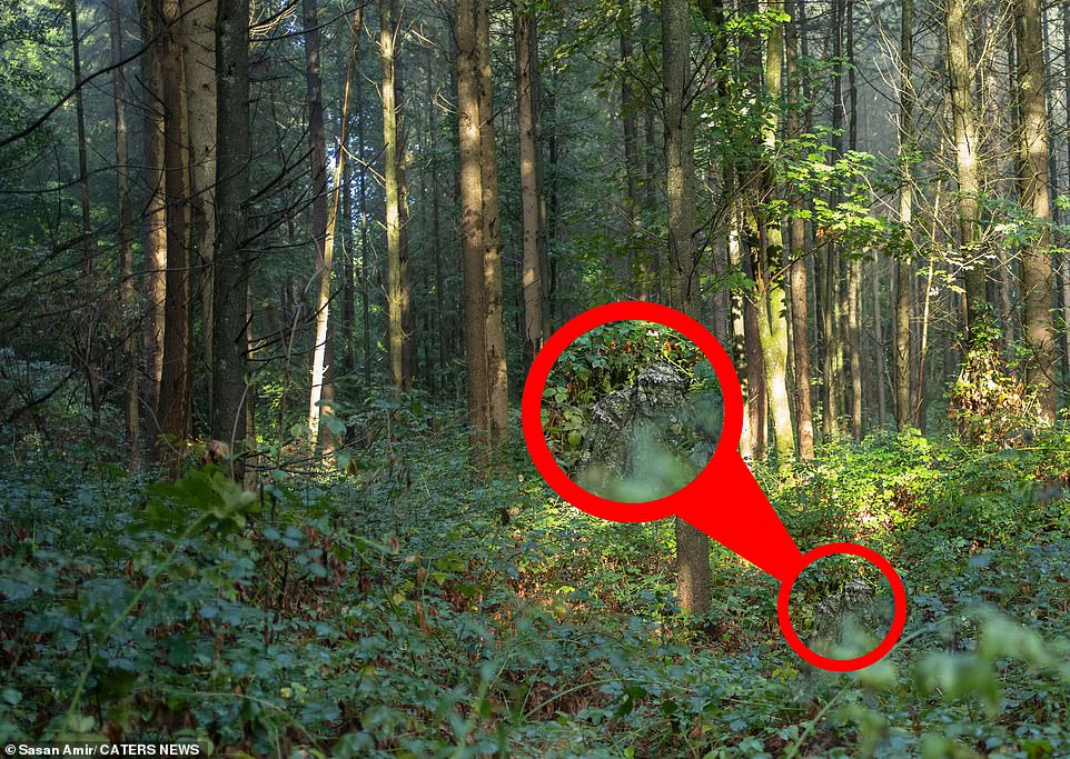 1674478450 363 Discover the photographer Can you spot the camouflaged wildlife fanatic