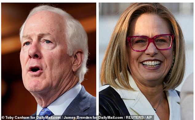 A bipartisan group of senators led by Texas Republican John Cornyn and Arizona independent Kyrsten Sinema arrived to visit the border earlier this month.