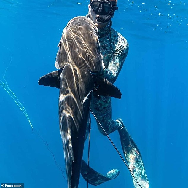 Gartenmayer, who grew up in the Keys, has more than a decade of freediving and spearfishing experience.