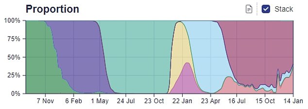 Figures from the Sanger Institute, one of the UK's largest Covid surveillance centres, shows 37.6 per cent of cases in the week to January 14 were caused by CH.1.1 (shown in pink, bottom right corner)