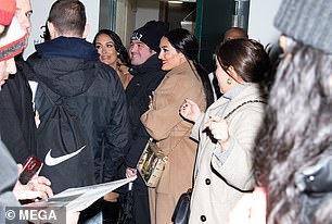 Mobbed: Nikki was mobbed by multiple fans while on her way to the big event.