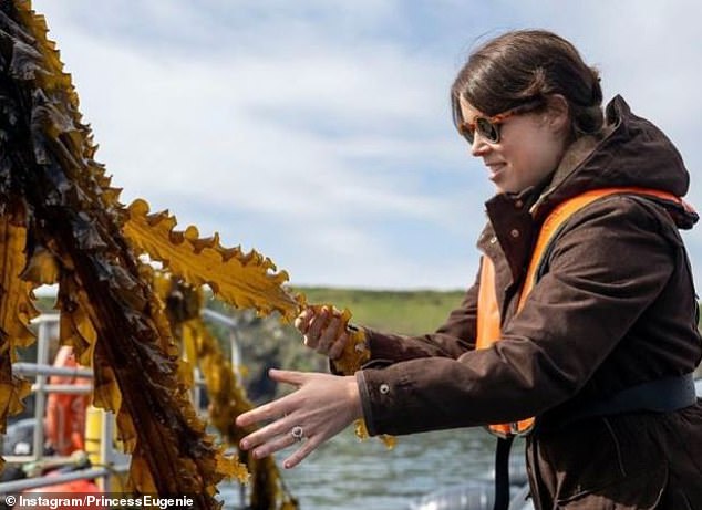 The princess launched a miniseries last year on conserving the oceans (pictured visiting a regenerative ocean farm in Wales)